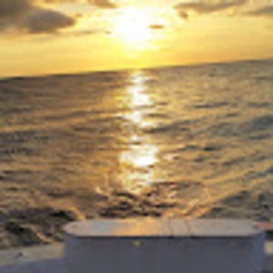 Meet your Posher, Jay